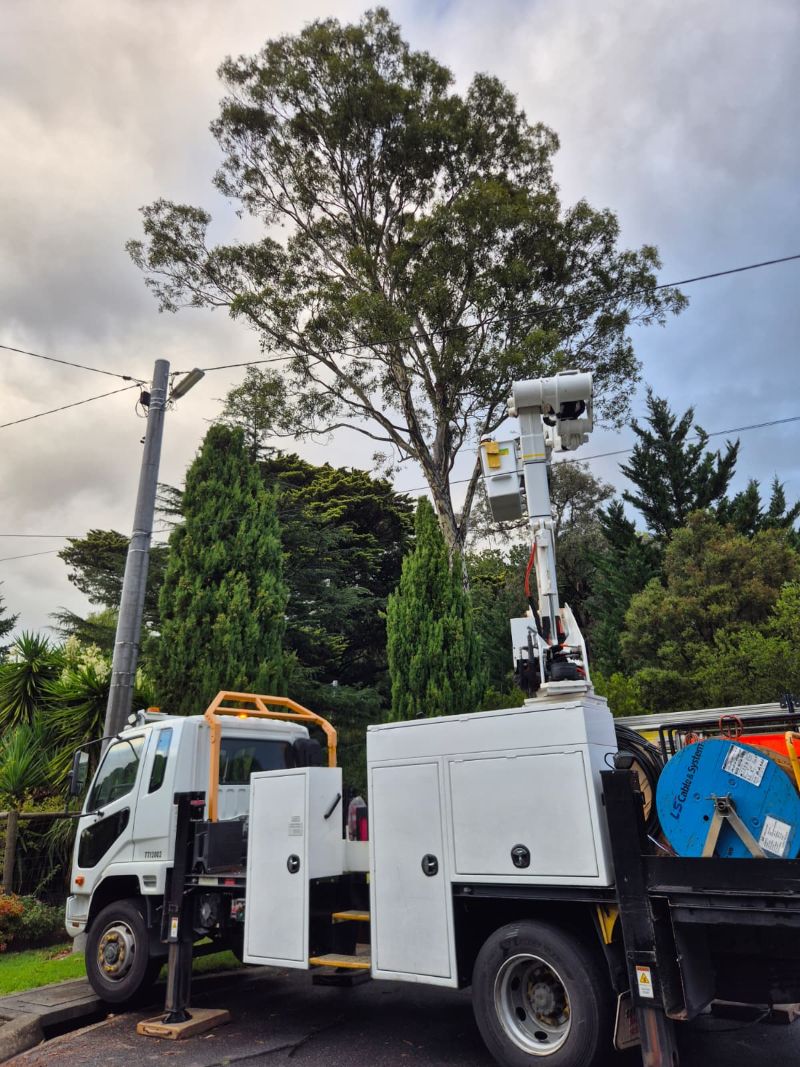 new private power poles