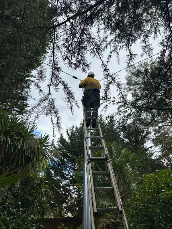 power poles upgraded melbourne